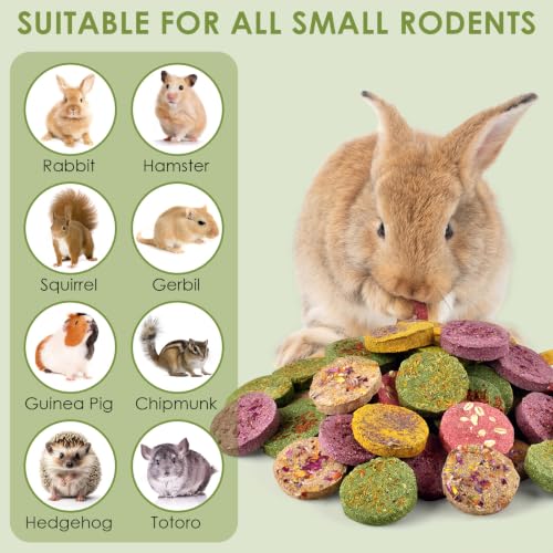 ERKOON 48Pcs Timothy Hay Cake Bunny Chew Toys, 100% Natural Handmade Small Animal Molar Treats, Timothy Grass Chews for Rabbit Guinea Pig Hamster Chinchilla Rat Gerbil Squirrel Teeth Grinding - size: 1.25 Pound (Pack of 1)