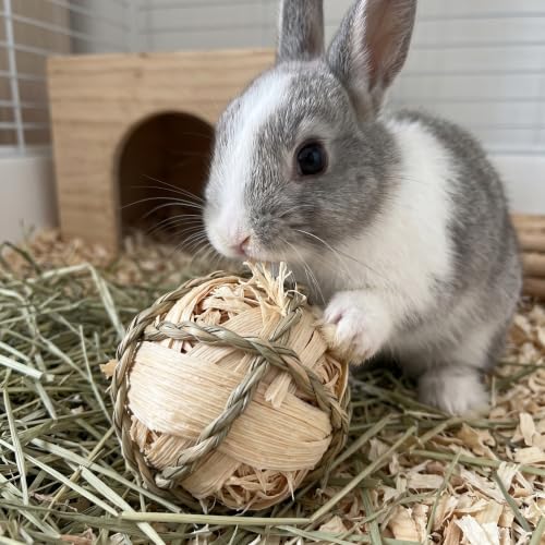 Natural Woven Grass Balls Small Pet Chew Toys, Handmade Wooden Bird Parrot Hamster Rabbit Foraging Balls, Safe Shred Toys for Parakeet Cockatiel Guinea Pig Chinchilla, Corn Silk Ball - style: Traditional