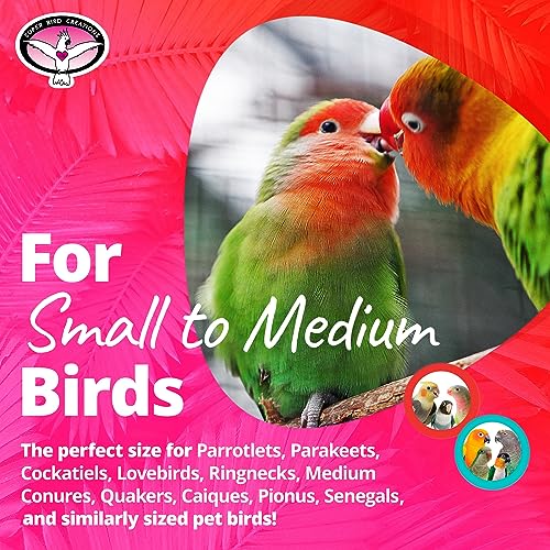 Super Bird Creations SB1055 Birdie Balls Bird Foot Toy, Medium Bird Size, 2" Diameter (4 Pack)