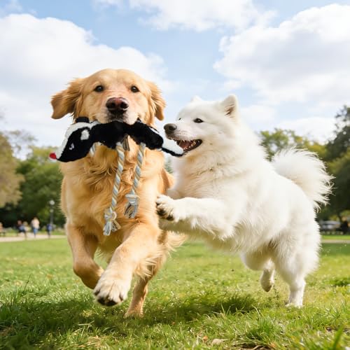No Stuffing Rope 2-Pack Dog Toys, Chew Toys for Medium, Large Pets - color: Black, Brown