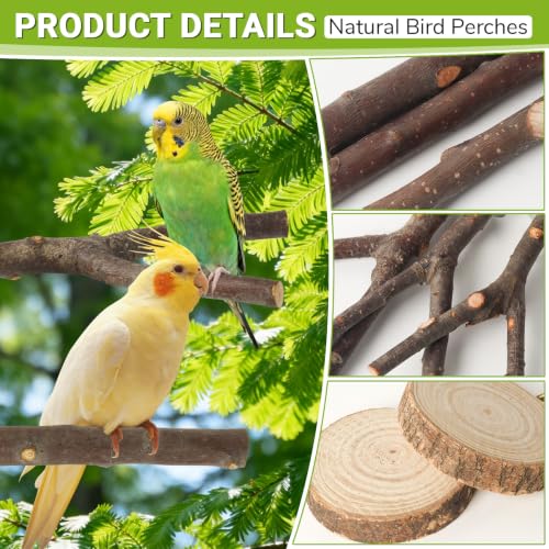 8 Pack Natural Wood Bird Perches for Cage, Wooden Parrot Perch - size: Medium Size-8 Pack