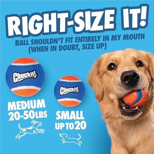 Chuckit! Cannon 16S Dog Ball Launcher, 16 Inch Size, Includes 4 Balls Total - size: Small