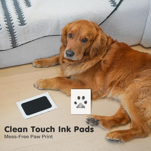 Inkless Paw Print Kit for Dogs,Cats & Babies,Clean Touch Dog Nose - color: Black Pad,Black/Natural Wood Frame, size: 4-Pack,Large