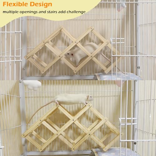 2Pcs Bird Foraging Toys Puzzle, Bird Slow Feeder Mats, Interactive Parrot Foraging Toys to Increase Feeding Time & Wooden Rat Climbing Toys, Natural Pet Rat Cage Accessories Climbing Ladder