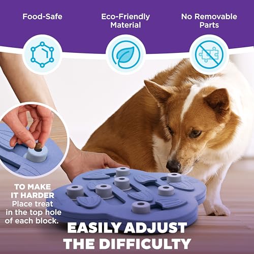 Outward Hound Nina Ottosson Dog Hide N' Slide Dog Toy Treat Puzzle, 11.6" - color: Dog Hide-N-Slide (Purple), size: 1 Count (Pack of 1)