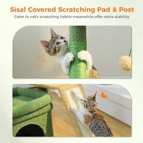 PEQULTI Small Cat Tree Tower for Indoor Cats with Large Perch, Green - color: Green, size: L Plus(19.3"L x 12.2"W)