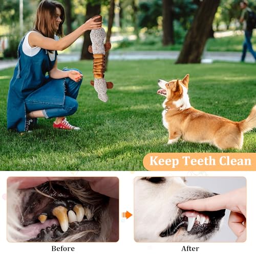 Squeaky Dog Toys, Stuffed Large Dog Toys to Keep Them Busy, Interactive Plush Chew Toys with Crinkle Paper, Tough Pet Animal Toys for Small Medium Large Dogs - Platypus - color: Brown