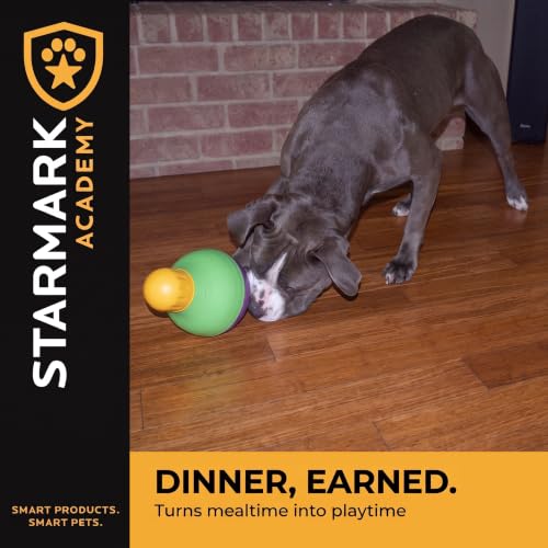 Starmark Treat Dispensing Bob-A-Lot Large Dog Interactive Feeder Toy - size: Large