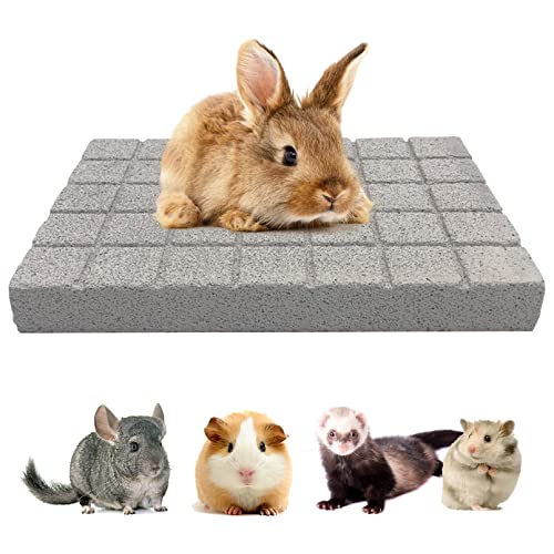 BNOSDM Rabbit Grinding Claw Pads Natural Hamster Lava Stone Teeth Grinder - color: White 1x Large