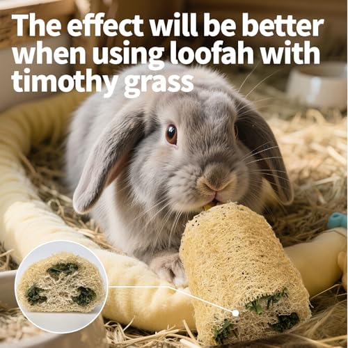 BESNEW 3 PCS Rabbit Chew Toys,100% Natural Loofah Without Additives,Bunny Chew Toys for Teeth,Fiber-Rich Rabbit Treats for Bunny Chinchilla Dogs - style: 3 ps