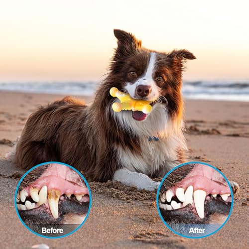 NEZIN Dog Chew Toys, Indestructible Dog Toys for Aggressive Chewers, Tough Dog Toys, Durable Dog Chew Toys for Large Medium Breed, Interactive Dog Toys with Real Beef Flavor (Mix 3 Pack) - color: Mix 3 PCS