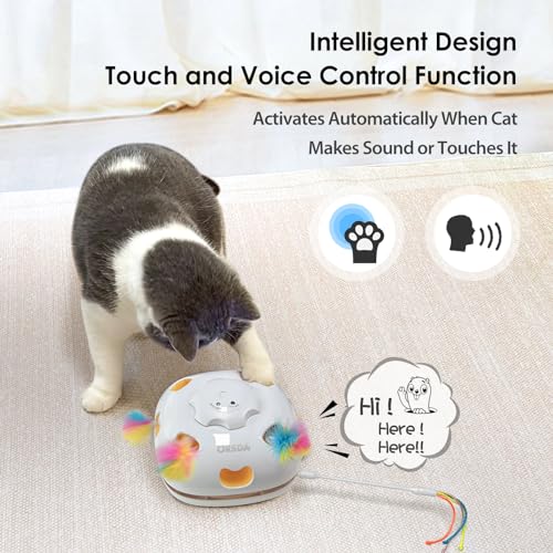 ORSDA Cat Toys, 4 in 1 Interactive Cat Toys for Indoor Kitten, Automatic Electric Enrichment Hide and Seek, Chase the Feather, 8 Holes Mice Whack-A-Mole, Catch Magic Wand