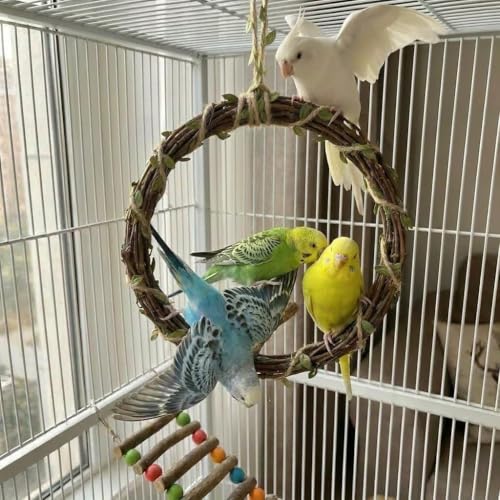 2-Pack Woven Vine Bird Swing & Climbing Perch, Large - size: Large