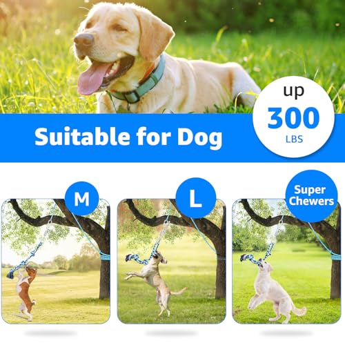 LOOBANI Spring Pole Toy for Pitbull: Bungee Tug War Toys，Blue - color: Blue+White