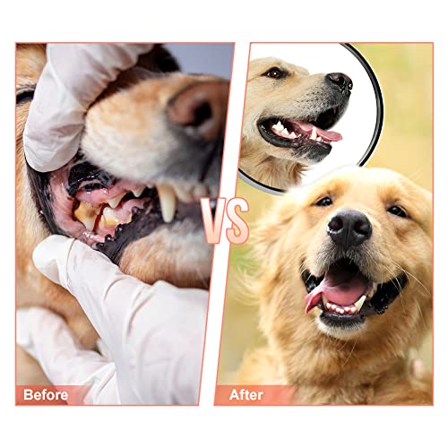 Dog Chew Toys,Tough Dog Toys for Aggressive Chewers,Durable Rubber Puppy Toy, Interactive Puppy Toys Aggressive Chewers Medium Large Breed - color: Red