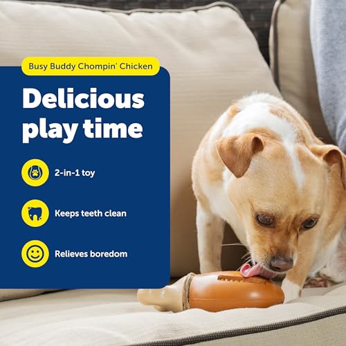 PetSafe Busy Buddy Chompin' Chicken Treat Holding Dog Toy, Small/Medium - size: Small/Medium