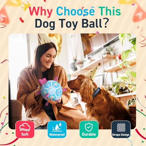 QDAN Dog Birthday Toys, Puppy Birthday Gifts, Dog Soccer Ball with Straps - color: Birthday Blue, size: Large Size 3 (8 Inch)