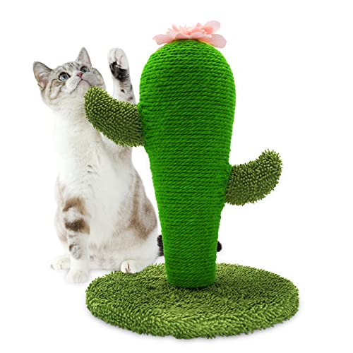 AUSCAT Cat Scratching Post, Cute Cactus Scratching Post, Nature Sisal Cat Scratcher for Indoor Cats and Kittens - color: Cactus