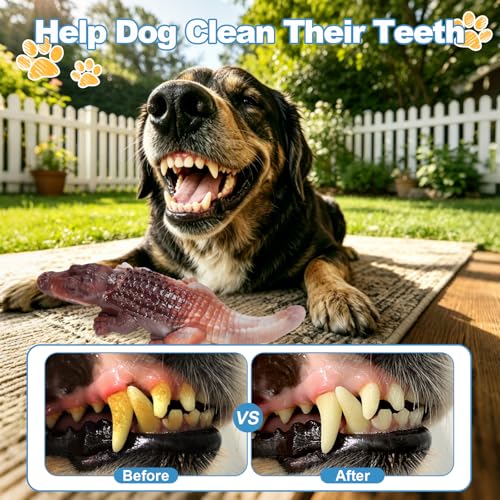 Durable Nylon Dog Toy for Aggressive Chewers - Interactive Nylon Chew Set with Massage Bumps | Tough Dog Toys for Teething Puppies & Large Breeds (Crocodile) - color: Crocodile