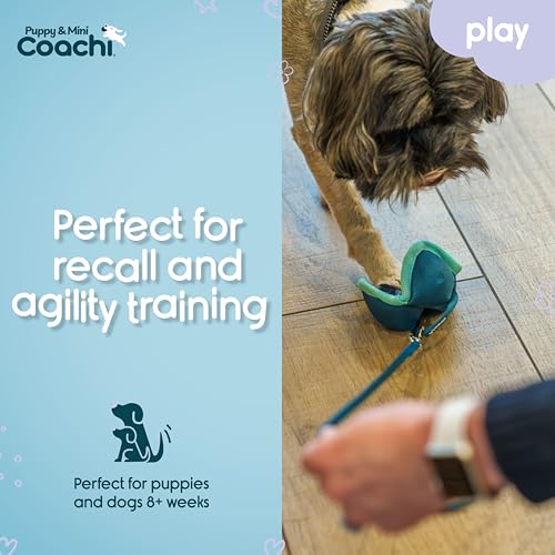 Coachi Puppy & Mini Chase & Treat - Great for Play and Chase - style: Chase & Treat