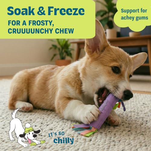 Cool Teething Stick Dental Dog Chew Toy, Soak & Freeze, 8.5" - color: Teething Stick