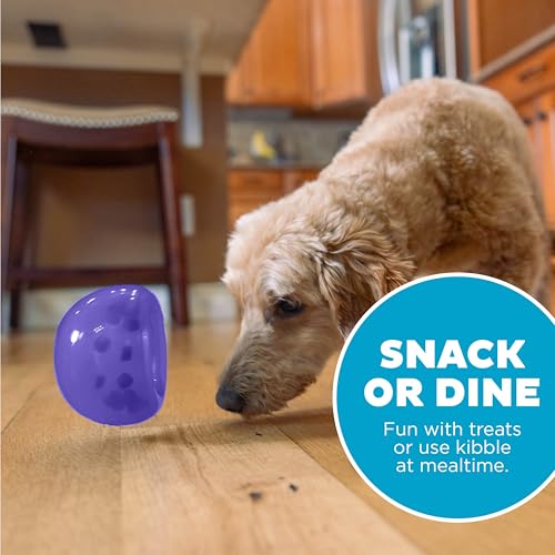 Outward Hound Lil' Snoop Interactive Treat Dispensing Dog Toy, Purple, 3.9" - color: Purple Lil Snoop