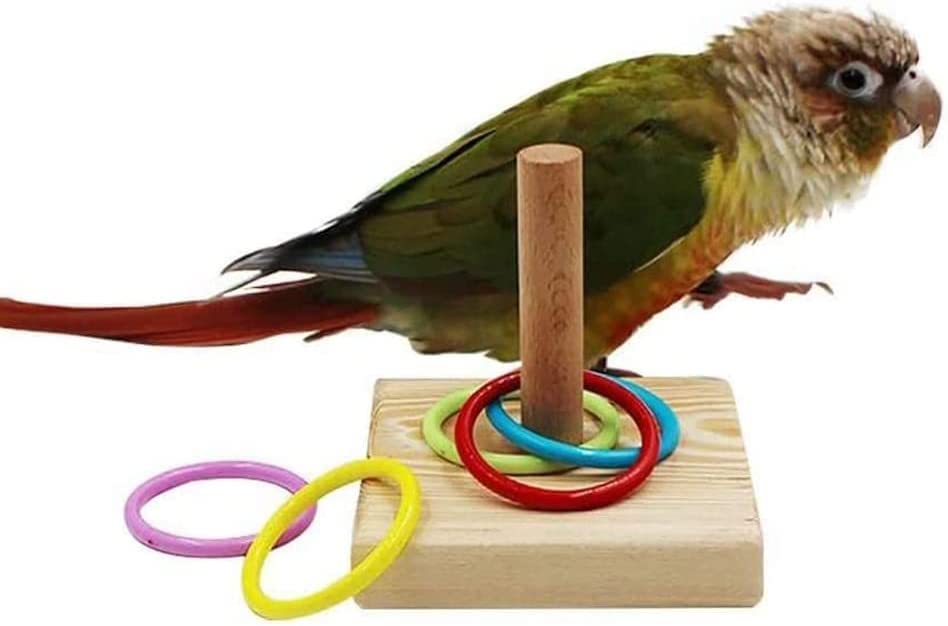 Litewoo Bird Intelligence Training Toy Color Rings Wooden Parrot Tabletop - color: parrot ferrule toy 1