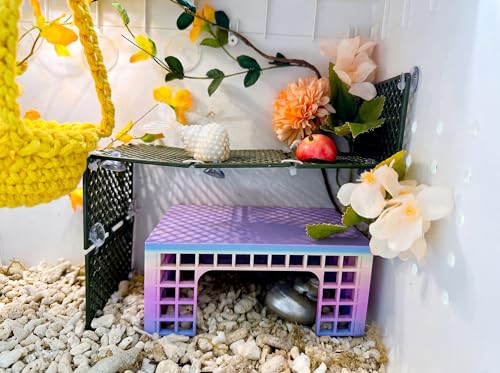 Hermit Crab Climbing Platform, Foldable Habitat Ladder - color: Military green