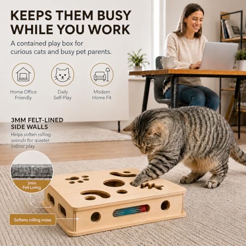Cat Scratch Puzzle Enrichment Box with Rechargeable Moving Ball
