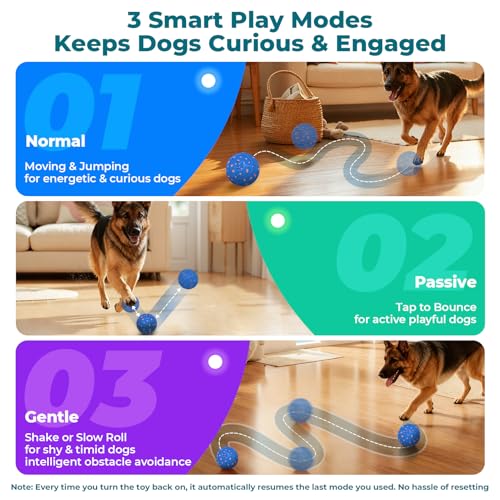 Roinoim Automatic Interactive Dog Ball Toy, Motion Activated Durable Rope Dog Chew Toy, USB Rechargeable Pet Exercise Ball for High Energy Dogs, Indoor Outdoor Playing, Blue