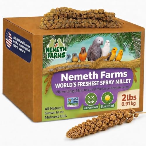 Nemeth Farms Spray Millet - Edible Tops Only, Non-GMO and Sun-Dried - 2 lbs for Cockatiels, Lovebirds and Budgies - size: 2 Pound (Pack of 1)