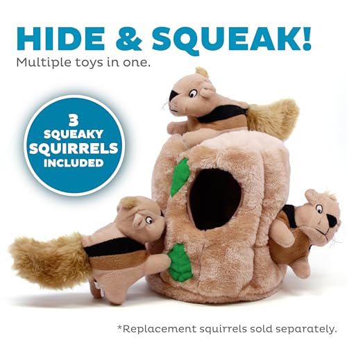 Outward Hound Hide-A-Squirrel Plush Squeaky Dog Toy, Large, 10.5" x 7.5"