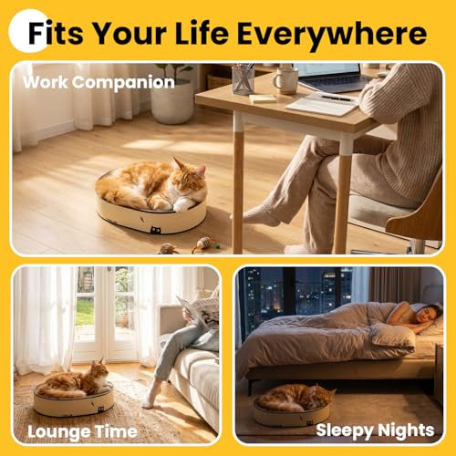 Conlun Oval Cat Scratcher Bed | Scratching Bowl Lounge for Kittens | Medium - color: Black Cat, size: Medium(16.9"L x 12.9"W x 3.5"Th)