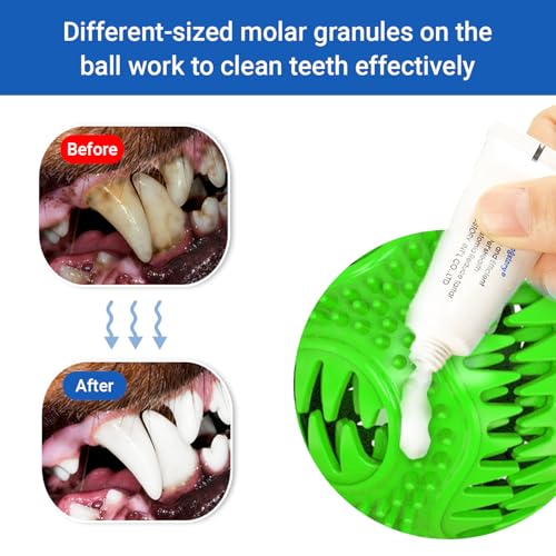 Dog Toys Treat Food Dispensing Ball with Suction Cup for Aggressive Chewer, Tug of War for Pets, Puppy Toys for Teething, Puzzle, Treat Food Dispensing, Pet Chew Tug of War for Medium Dogs (Green)