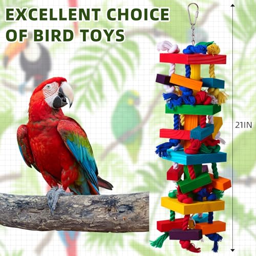 Soulchen 4 Pcs Extra Large Bird Parrot Toy Set, Natural Wooden Chewing Toy - style: Colorful Ring