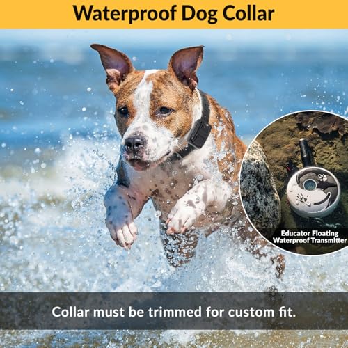 E-Collar Educator ZEN-302 Dog Training Collar with Remote, 2 Dogs - color: Zen, size: 2 Dog