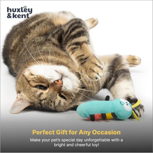Huxley & Kent Plush Cat Toy - Interactive Catnip Toy for Cats & Kittens - Soft with Crinkle & Catnip - Fun Indoor Play - Caterpillar - style: Caterpillar