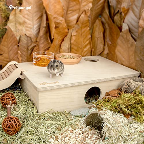 Niteangel Multi-Chamber Hamster House Maze: 2 Entrance 6 Rooms Maze Habitat - size: 6-Room Small