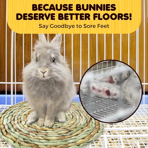 SunGrow Round Rabbit Grass Mat, Chew Toy for Guinea Pigs and Hamsters, Enclosure Bedding for Small Animals, Gnawing and Relaxation Hideout Spot, 8" x 0.7", 1 Pc