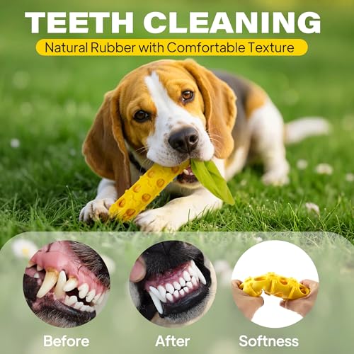 Fida 2-in-1 Puppy Teething Toys, Natural Rubber Chew Toys for Dogs, Corn - color: Yellow Corn