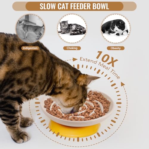 Slow Feeder Cat Bowl Set of 2, Ceramic Slow Feeding Cats Bowl Whisker Friendly, Anti Vomiting Cat Feeder for Dry and Wet Food，Fun Maze Interactive Bloat Stop Puzzle Bowls for Healthy Eating Diet - color: apricot