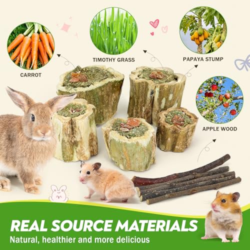 3.5oz Rabbit Chew Toys for Teeth，Bunny Papaya Wood Chew Toys Guinea Pig Treats with Apple Stick for Rabbits Guinea Pigs Hamsters Chinchillas Gerbils Prevent Teeth Overgrowth (3.5 oz, Fruit)