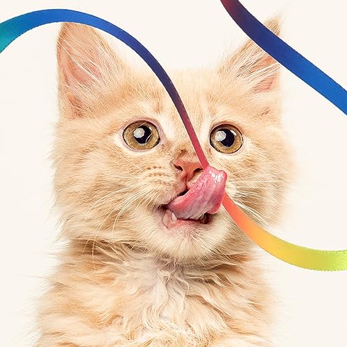 Amaxiu Cat Wand Toy Set, Interactive Wand Rod with Rainbow Ribbon String - color: 6 Packs