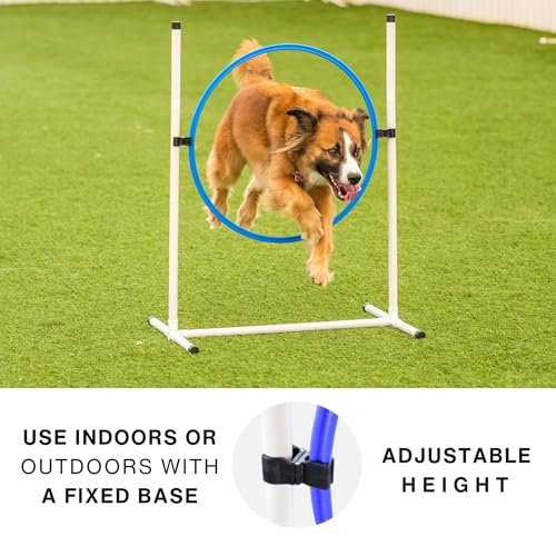 Better Sporting Dogs Complete Starter Agility Set for Dogs, 5 Piece