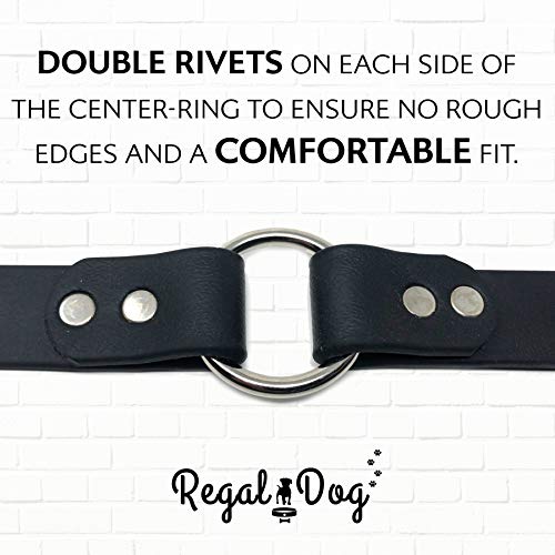 Regal Dog Products Waterproof Dog Collar, Nickel Double Buckle, Large Black - color: Black, size: Large