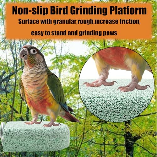 Pet Teeth Grinding Stone and Perch, Bird Perch Stands, Natural Chewing Toys for Small Medium Birds Budgies Conures Cockatiels Rats (4 Colores, Small) - color: 4 Colores, size: Small