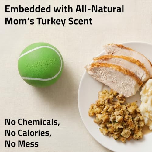 Playology Squeaky Chew Ball Dog Toy - Medium, Turkey Scent - size: Medium, style: Mom's Turkey