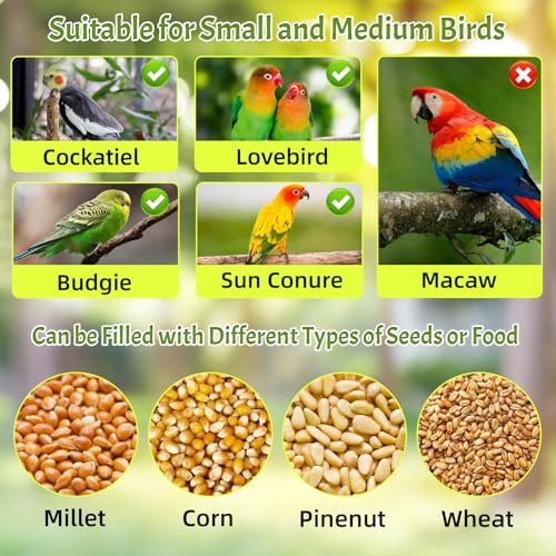 Rypet No-Mess Automatic Bird Feeder for Cage, Parrot Cage Accessories - color: Transparent A80 Green
