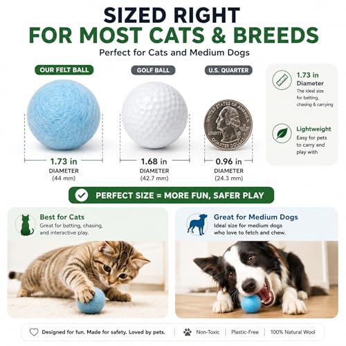 Cat Felt Balls 6 Pack, Wool Toy Balls for Indoor Cats, No Catnip