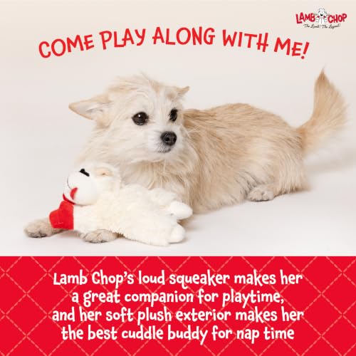 Multipet Lamb Chop Dog Plush Toy - Squeaky Toy - size: 6", style: White